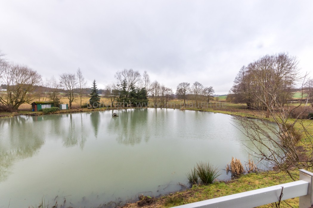 Tiny House mit Teich